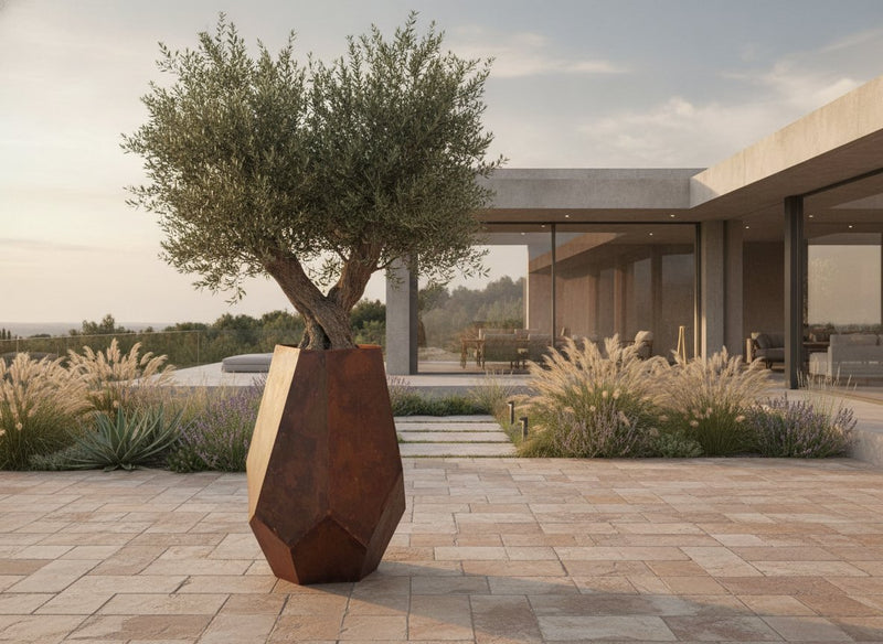 Göktaşı Saksı — corten, zeytin ağacıyla