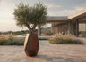 Göktaşı Saksı — corten, zeytin ağacıyla